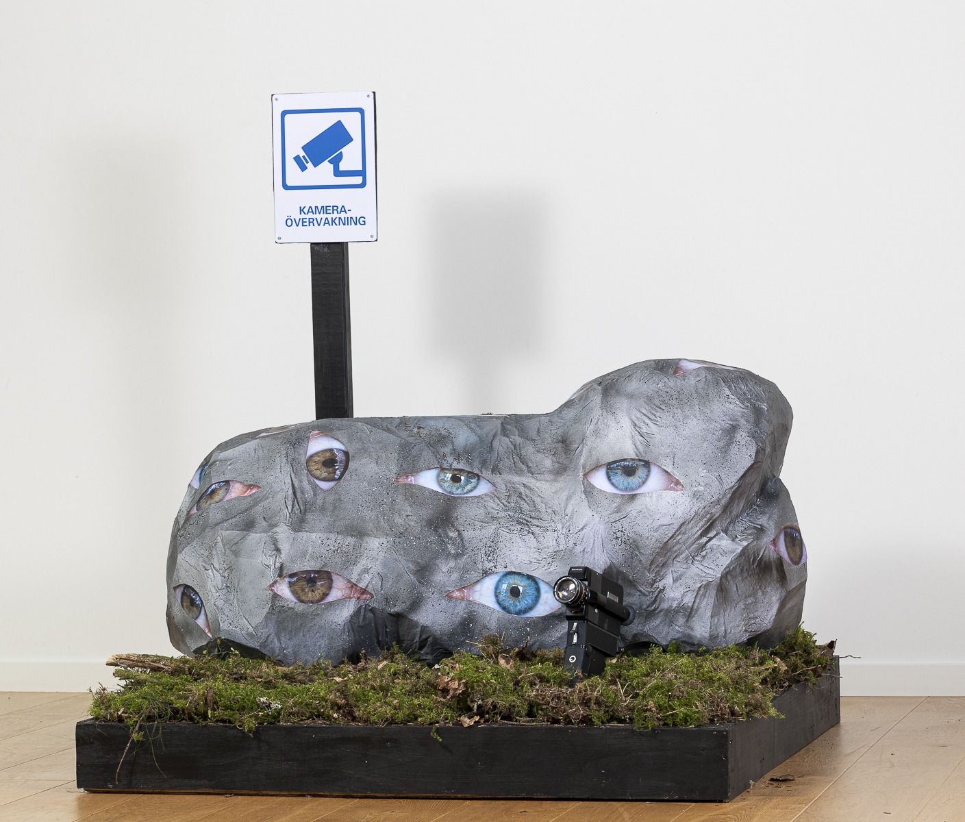 konstverk som ser ut som en sten med ögon av Anna Nordström